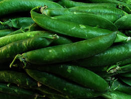 Las verduras de zumo de naranja cebolla cebolla licuadora fruta de tuna de  Granada - China Exprimidor, licuadora